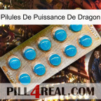 Dragon Power Pills new09